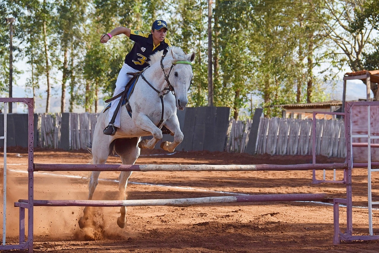 Bien Choisir Bottes Equitation
