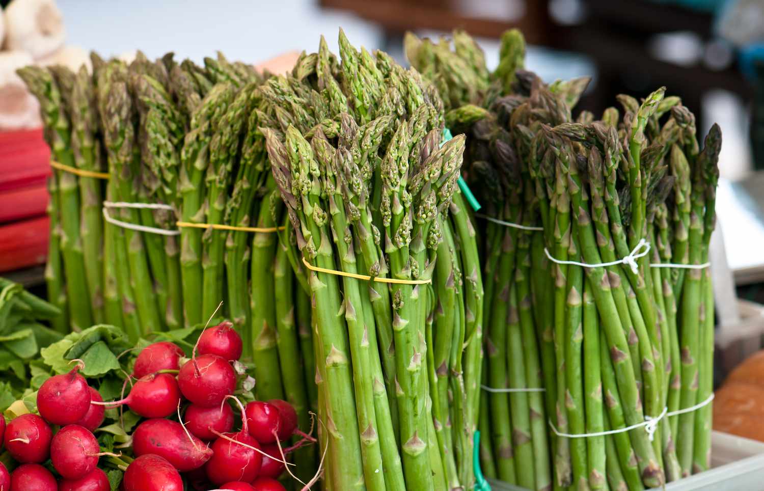 Comment sélectionner les meilleures asperges d'après un fermier