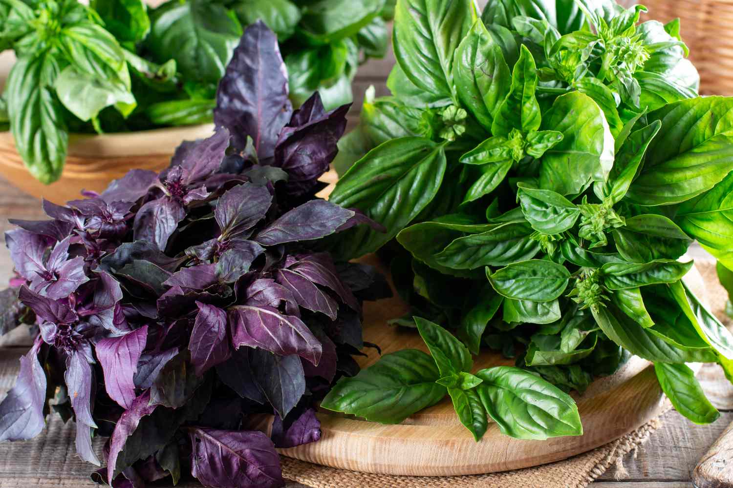 La meilleure méthode pour conserver le basilic frais, selon un expert