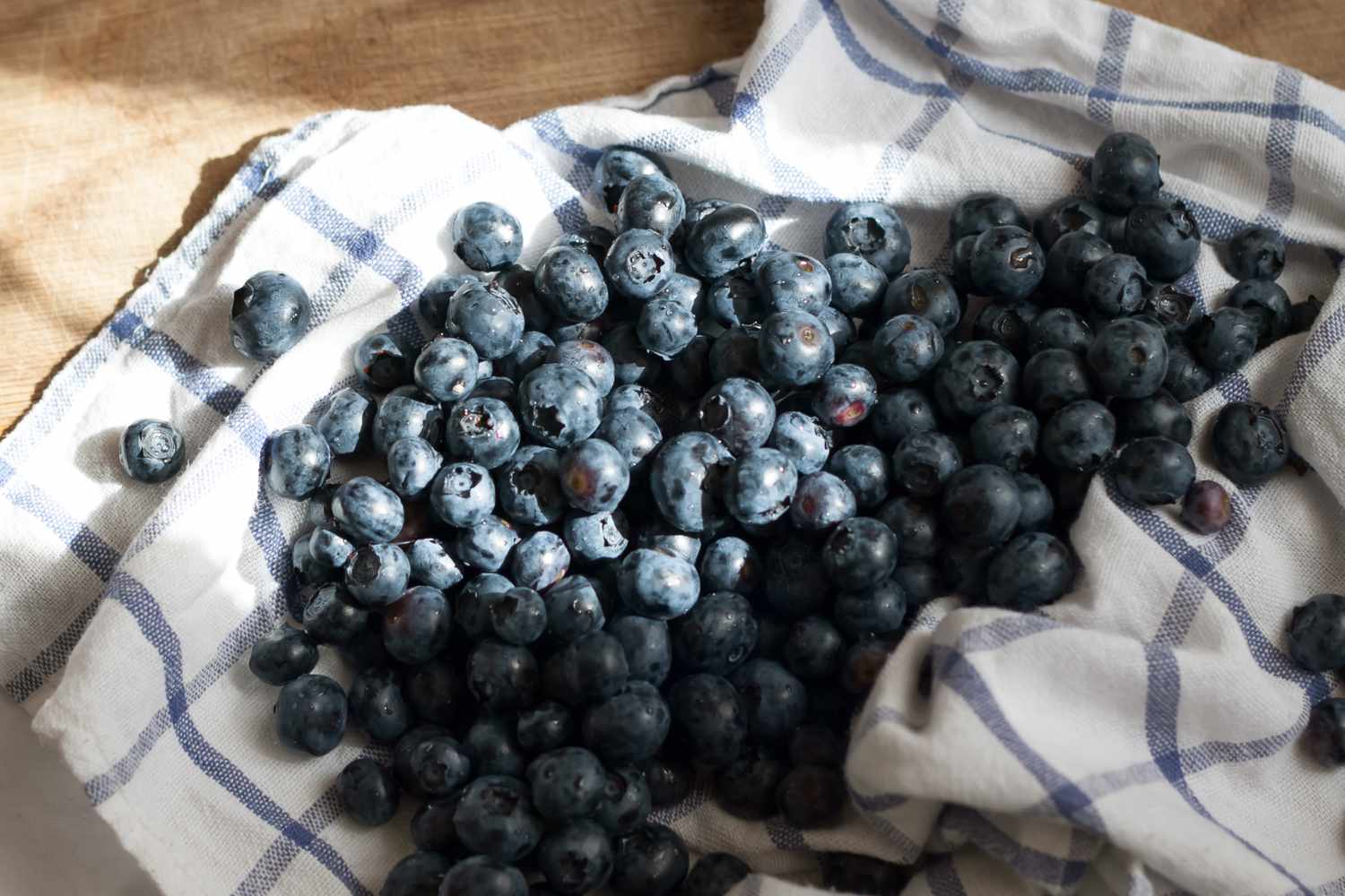 La seule méthode pour éviter que les bleuets ne pourrissent, selon les experts