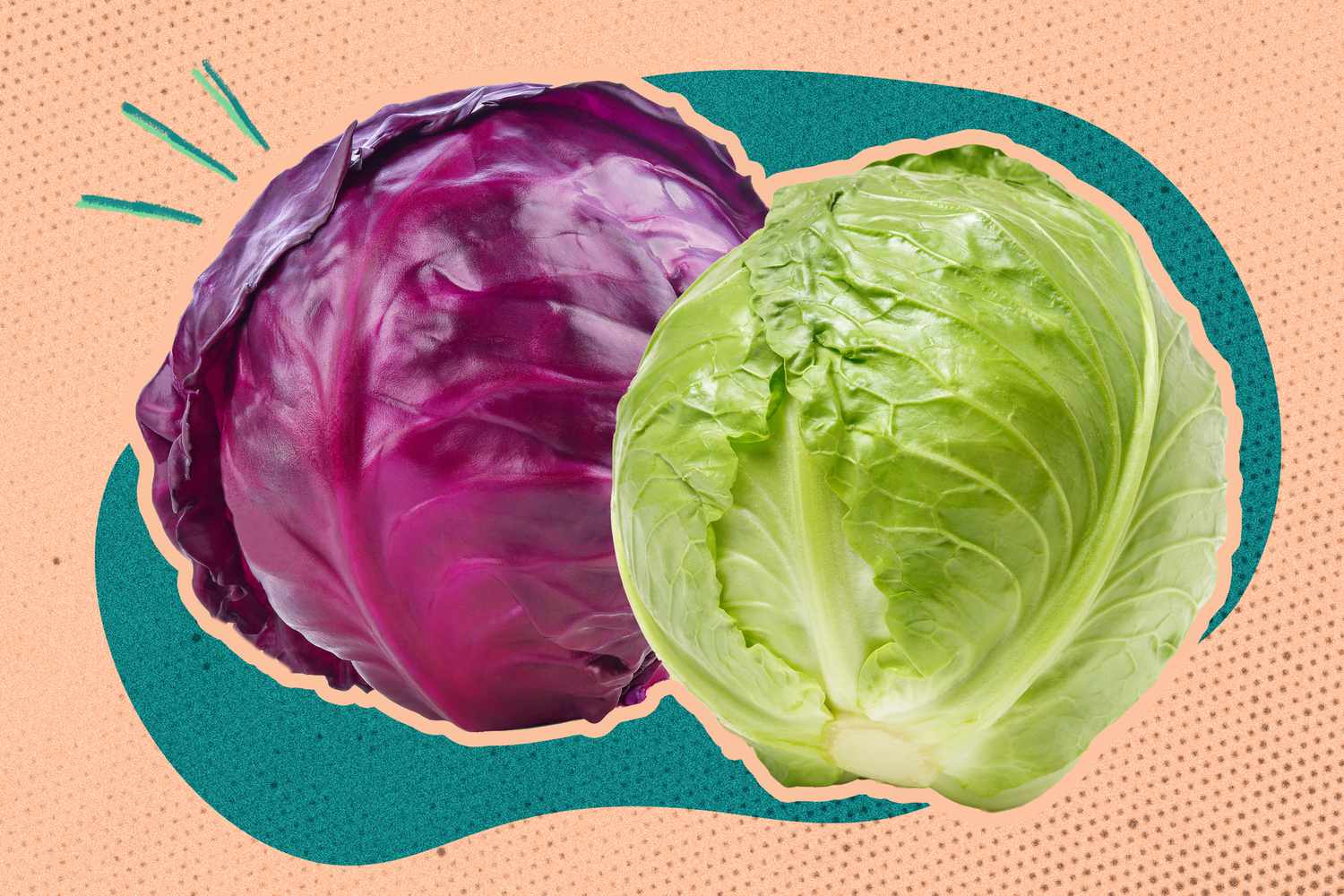 Chou vert et chou rouge : un expert explique les différences