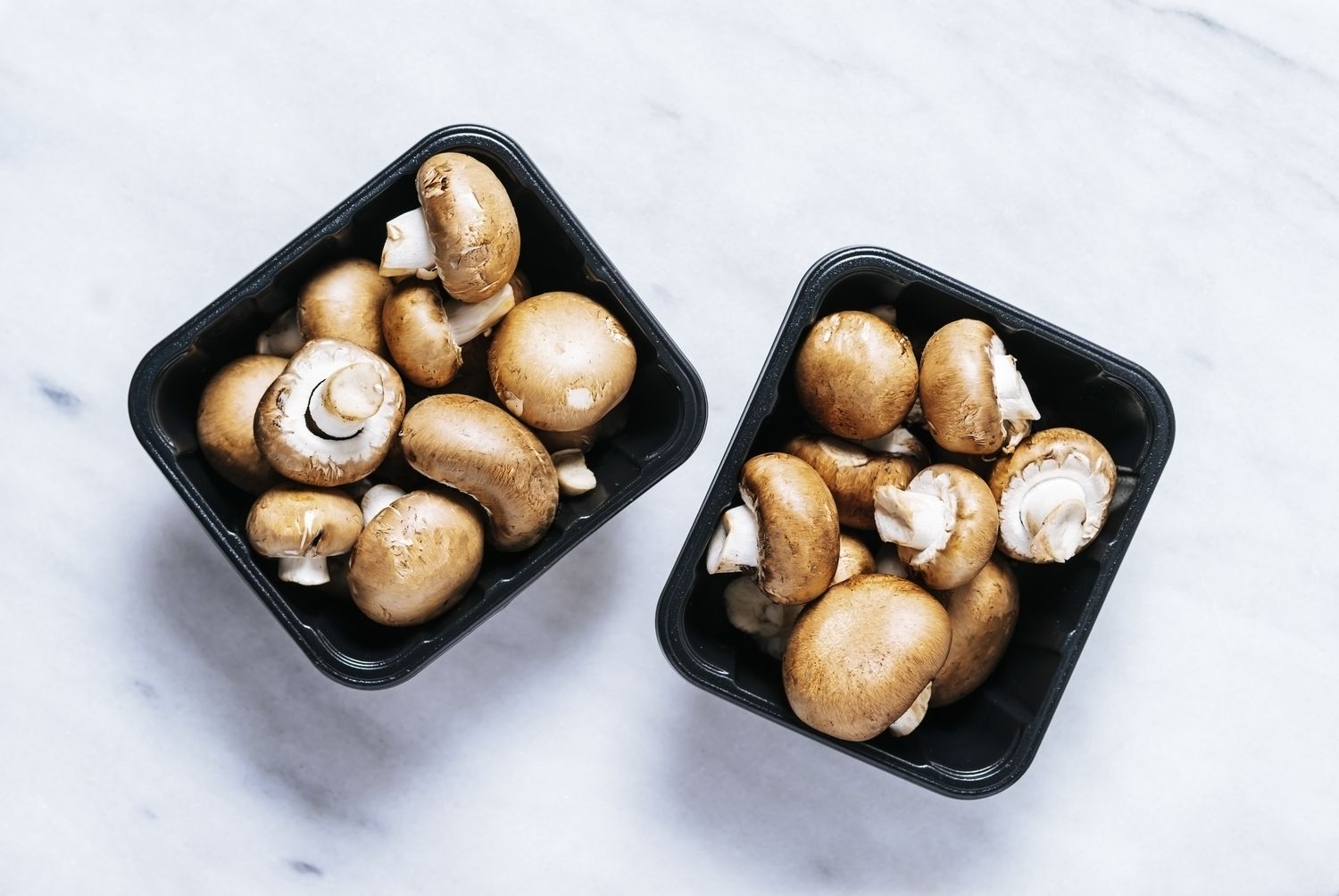 La seule manière d’empêcher les champignons de devenir visqueux