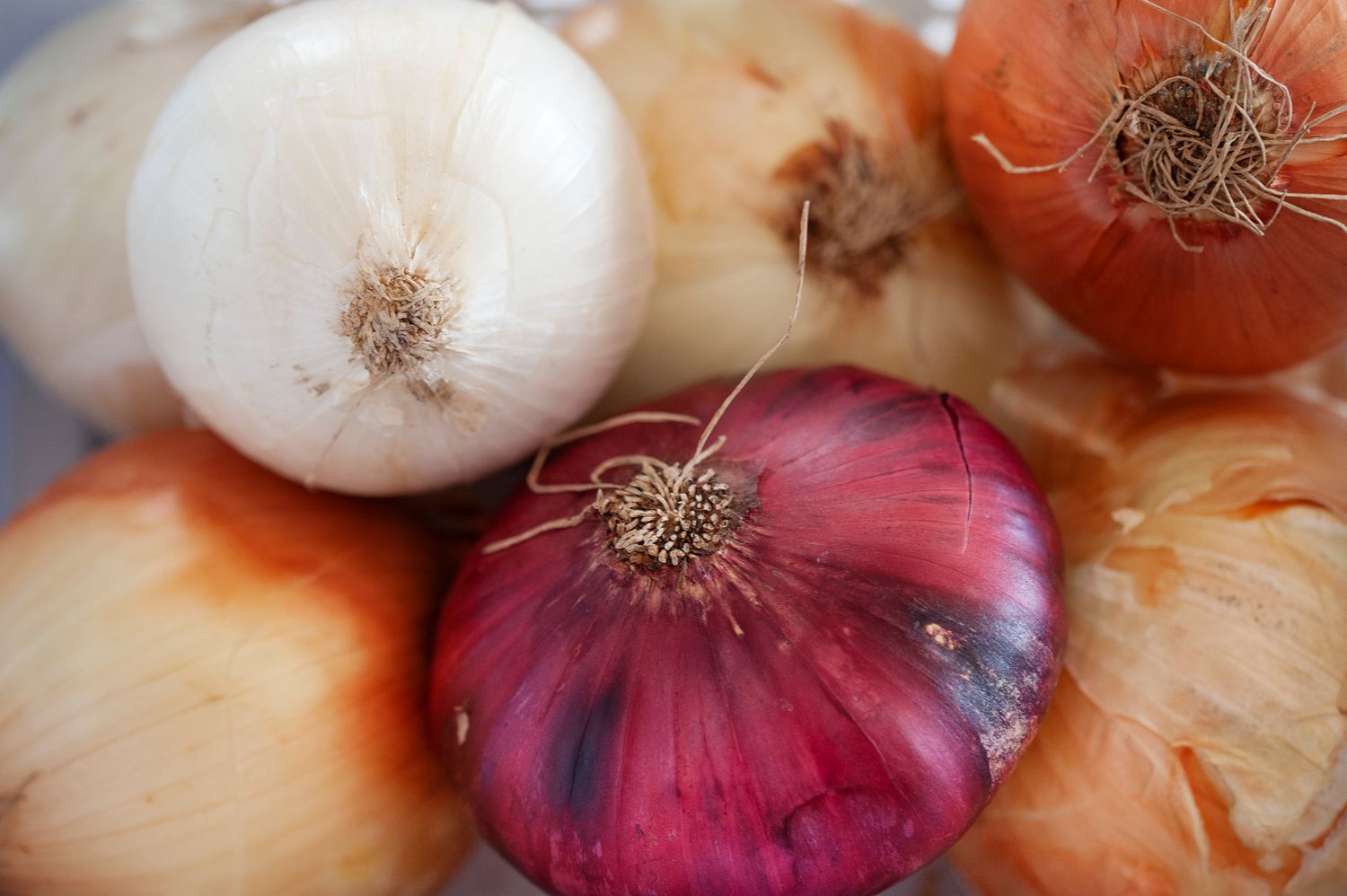 La seule méthode pour conserver les oignons, selon un expert culinaire