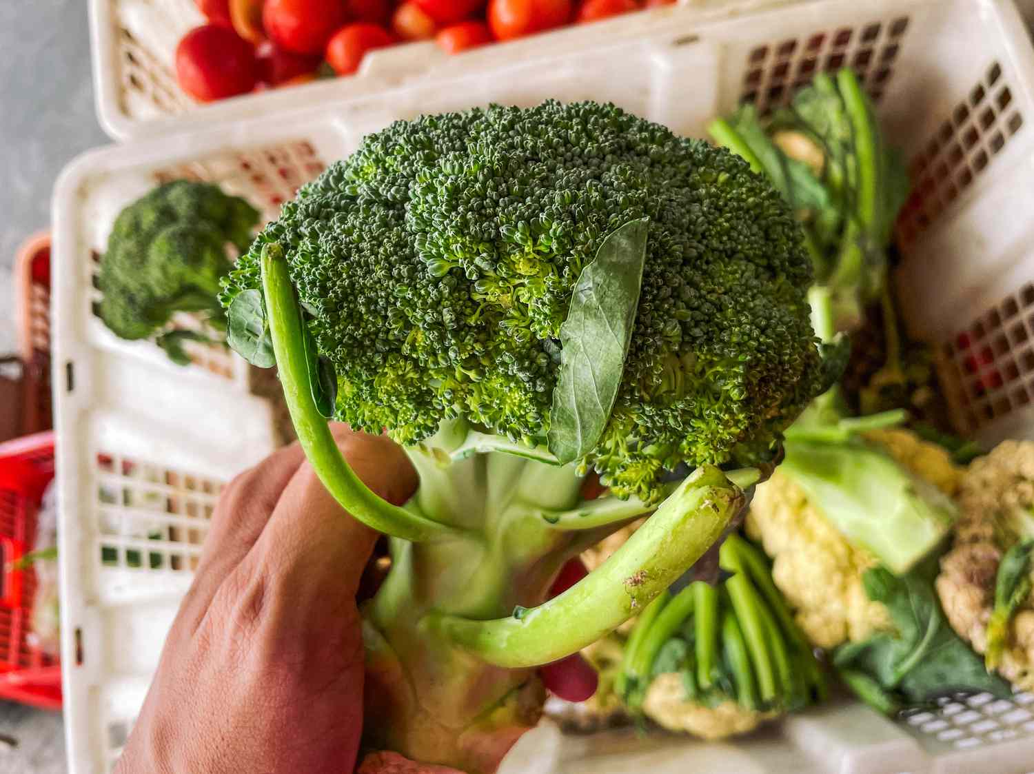 Laver le brocoli pour éliminer saleté et pesticides, selon un expert