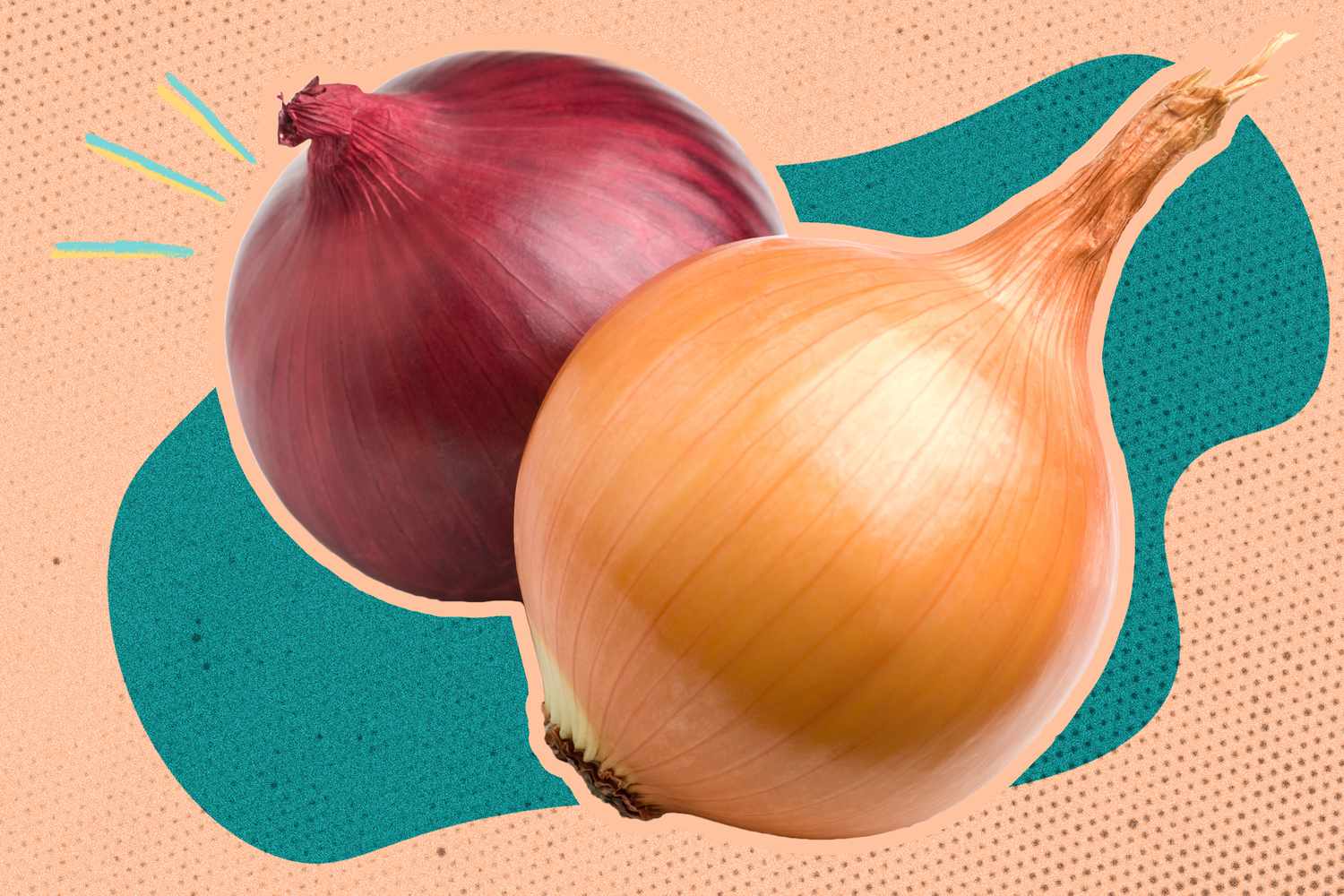 Oignon rouge et oignon jaune : un expert explique la différence