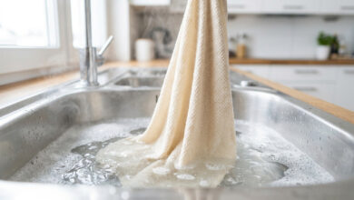 Photo of Lavage du torchon de cuisine : protocole de décontamination
