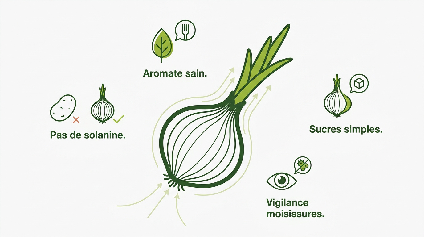 Oignon frais et sain prêt pour la préparation culinaire