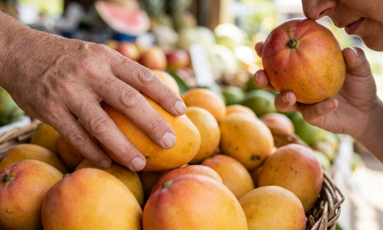 Une personne hume une mangue tandis qu'une autre en touche une pour tester sa maturité sur un étal de marché.